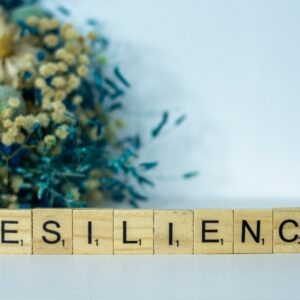 2019 National Judicial Stress & Resilience Survey